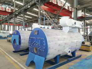 哈爾濱熱水供暖鍋爐2噸常壓燃?xì)忮仩t與LNG低溫常壓儲罐的技術(shù)解析及應(yīng)用